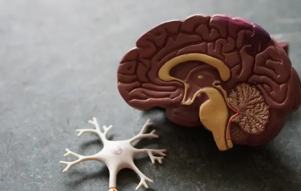 Struttura molecolare di una proteina - AlphaProteo DeepMind AI per farmaci