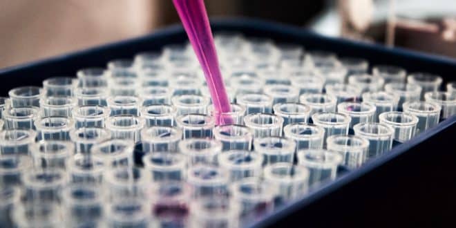 Ricercatrice al lavoro in un laboratorio di scienze della vita