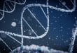 Rappresentazione digitale di una doppia elica del DNA su sfondo blu