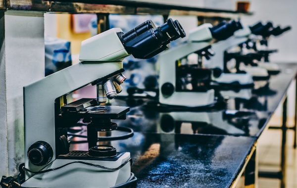 Microscopio da laboratorio, simbolo della ricerca scientifica supportata dai modelli AI open-weight