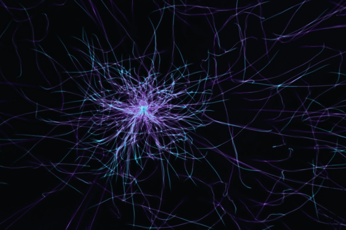 Immagine a tema intelligenza artificiale e tecnologia