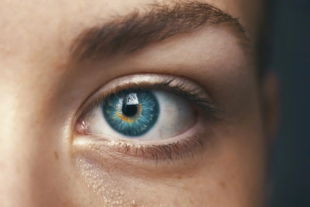 Immagine a tema intelligenza artificiale e tecnologia