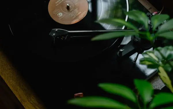 Dischi in vinile che simboleggiano l'industria musicale al centro della causa contro Anthropic