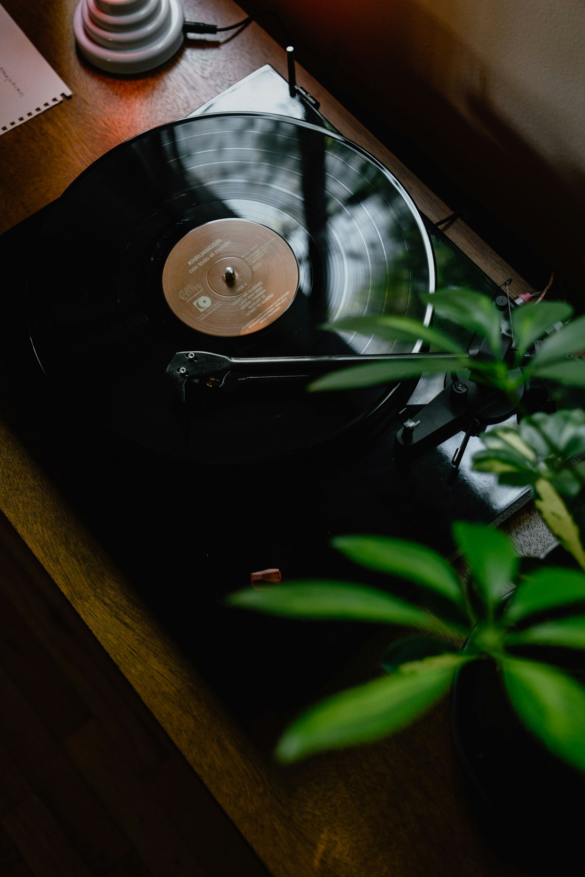 Dischi in vinile che simboleggiano l'industria musicale al centro della causa contro Anthropic