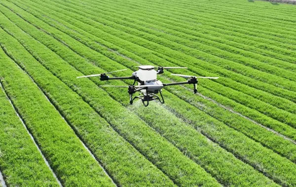 Drone che sorvola e tratta un campo coltivato, esempio di intelligenza artificiale in agricoltura
