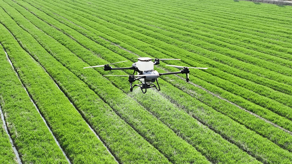 Drone che sorvola e tratta un campo coltivato, esempio di intelligenza artificiale in agricoltura