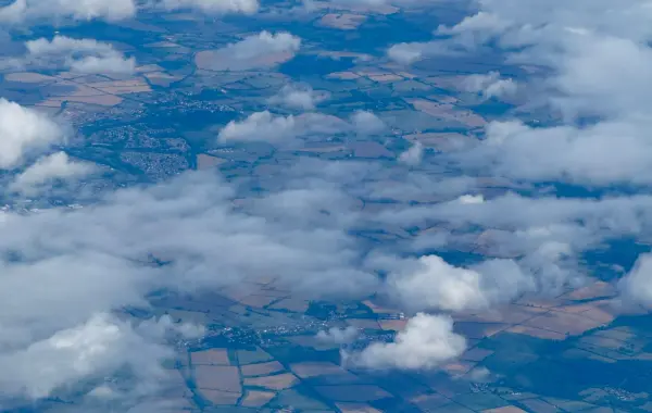 Veduta aerea di una foresta nel nord Europa