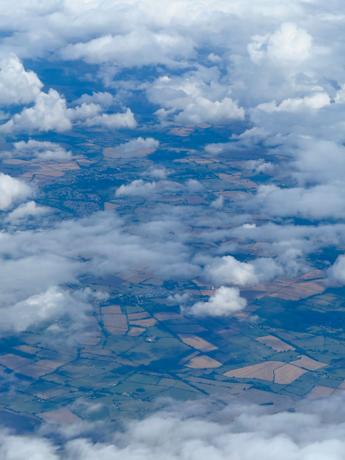 Veduta aerea di una foresta nel nord Europa
