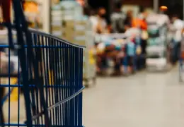 Shopping online e acquisti con il carrello