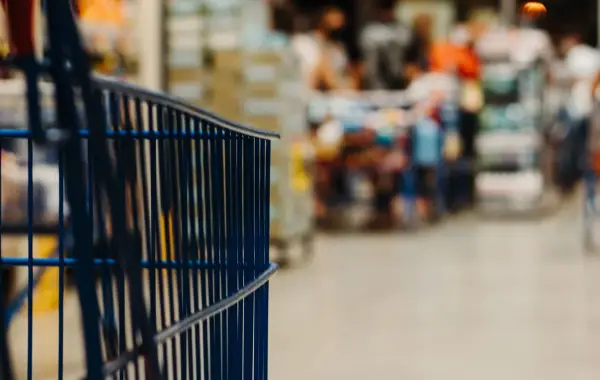 Shopping online e acquisti con il carrello