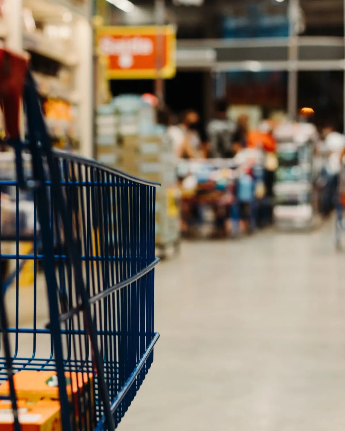 Shopping online e acquisti con il carrello