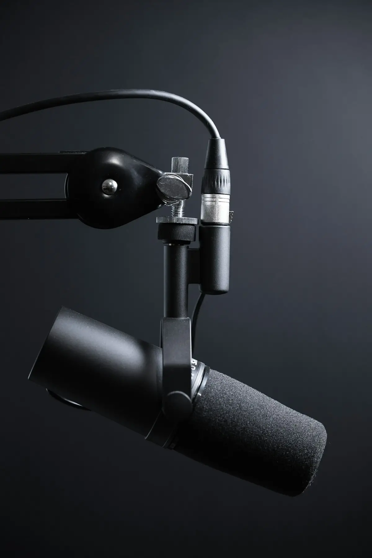 Microfono da studio per la sintesi vocale AI on-device