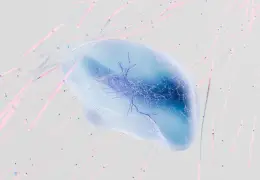 Rete neurale astratta, modello di intelligenza artificiale