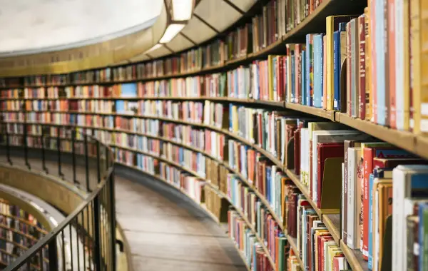 Biblioteca con scaffali pieni di libri, metafora della conoscenza esterna consultata dal RAG